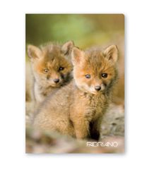 Cuaderno FABRIANO TENDERNESS A4 X 40H Rayado